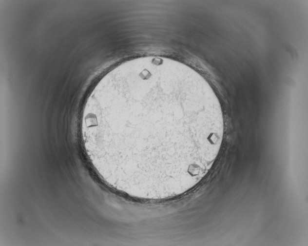X0000111030012200908061445