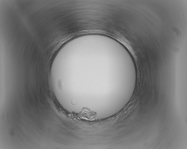 X0000111030013200908061445