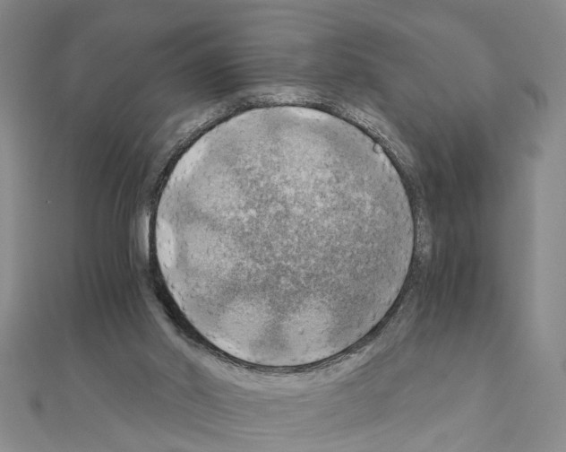 X0000111030014200908061445