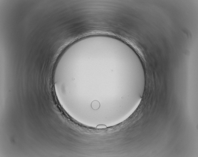 X0000111030015200908061445
