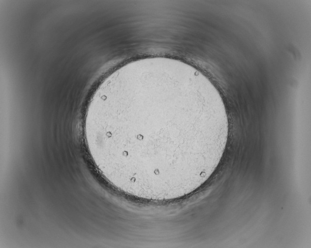 X0000111030016200908061445