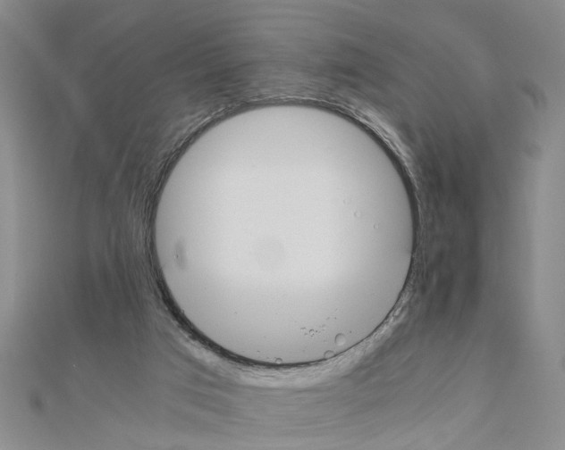 X0000111030017200908061445