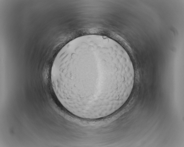 X0000111030018200908061445