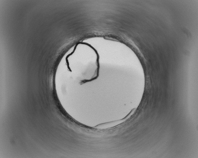 X0000111030019200908061445