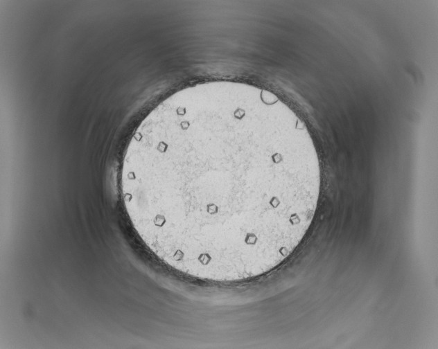 X0000111030020200908061445