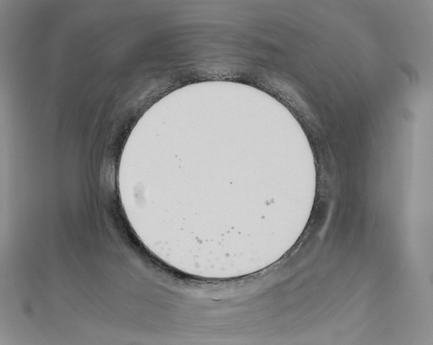 X0000111030021200908061445
