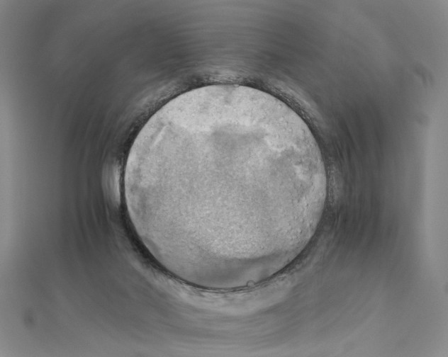 X0000111030022200908061445
