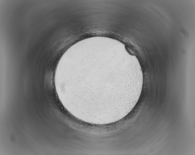 X0000111030024200908061445