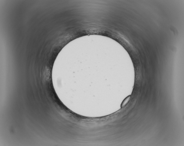 X0000111030025200908061445