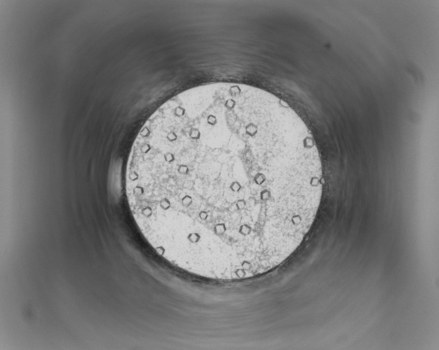 X0000111030028200908061445