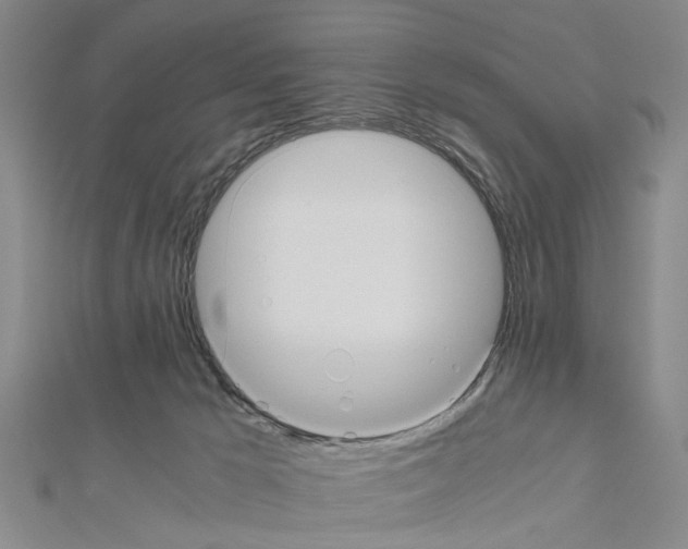 X0000111030029200908061445