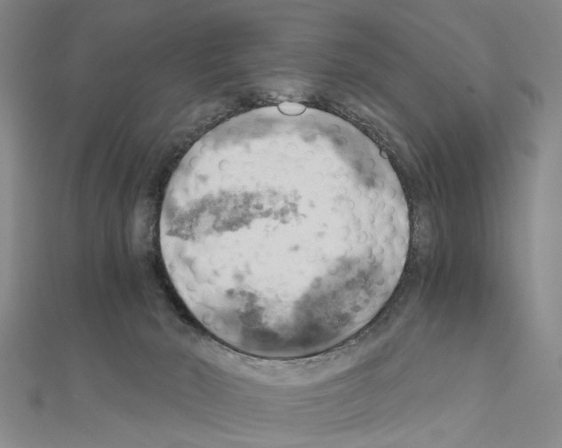 X0000111030030200908061445