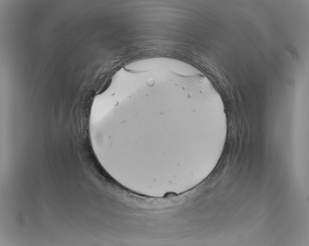 X0000111030031200908061445