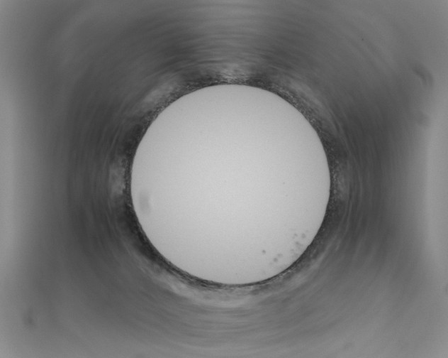 X0000111030032200908061445