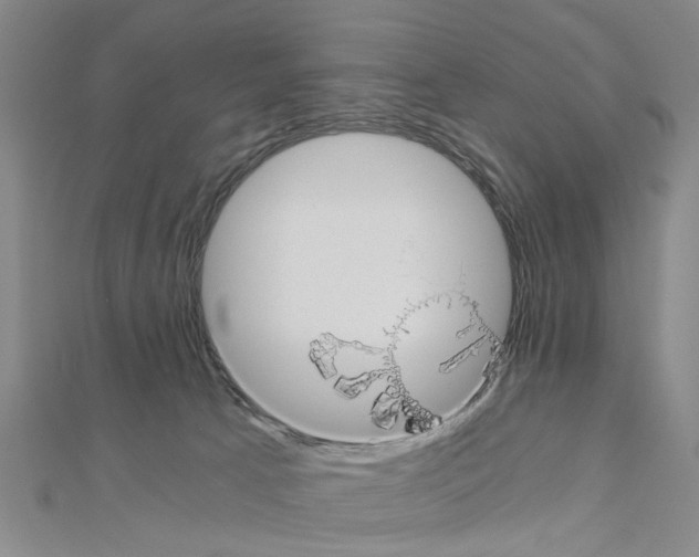X0000111030033200908061445