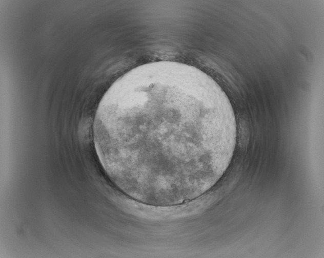 X0000111030034200908061445
