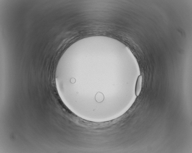 X0000111030035200908061445