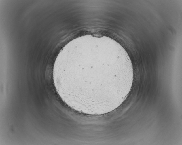 X0000111030036200908061445