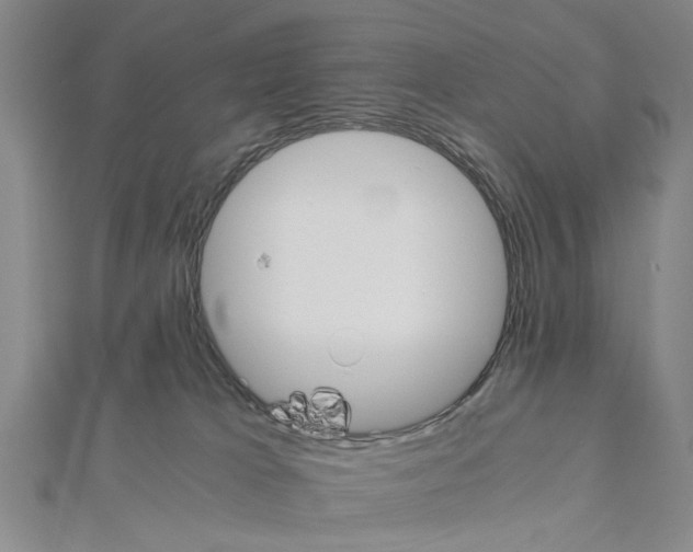 X0000111030037200908061445