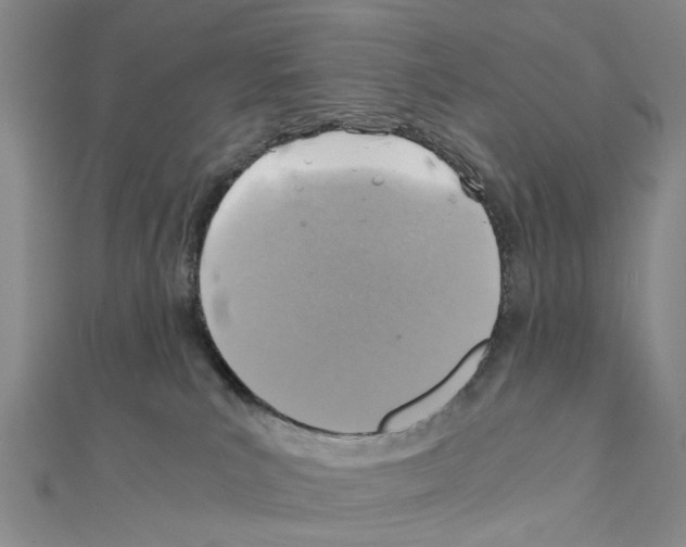 X0000111030039200908061445