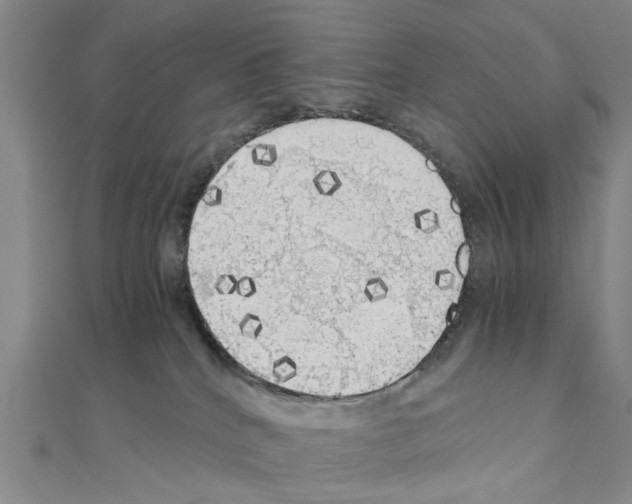 X0000111030040200908061445