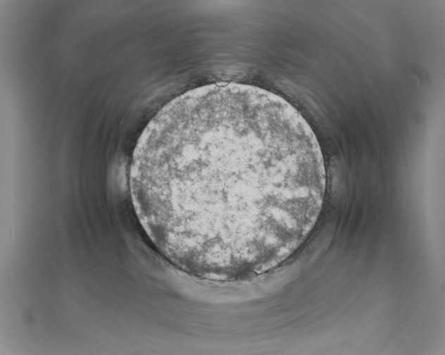 X0000111030042200908061445