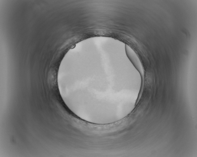 X0000111030043200908061445