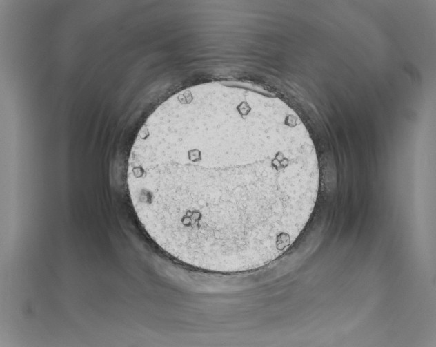 X0000111030044200908061445
