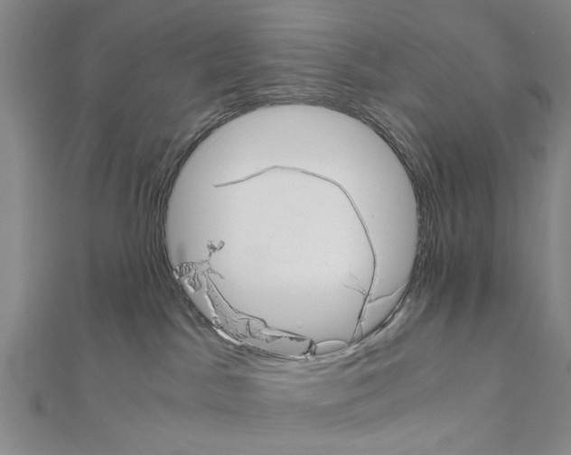 X0000111030045200908061445