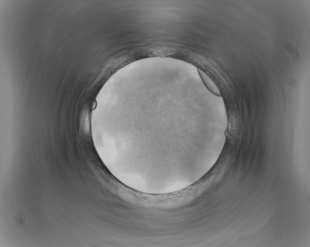 X0000111030046200908061445