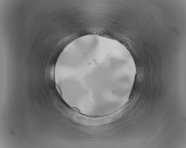 X0000111030047200908061445