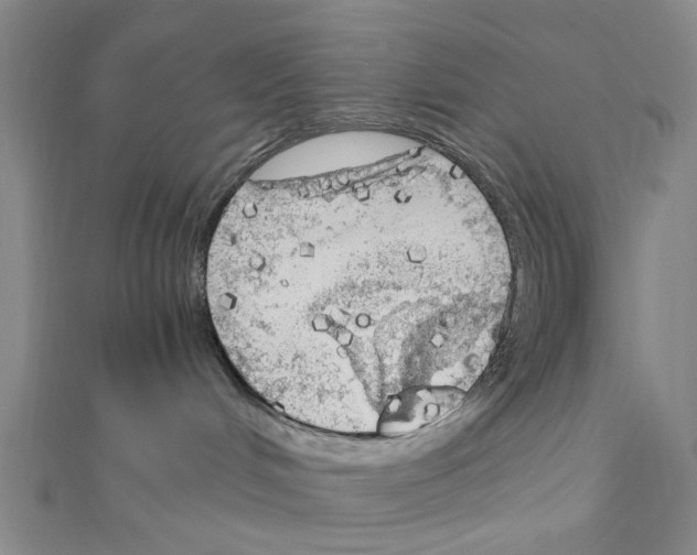 X0000111030048200908061445