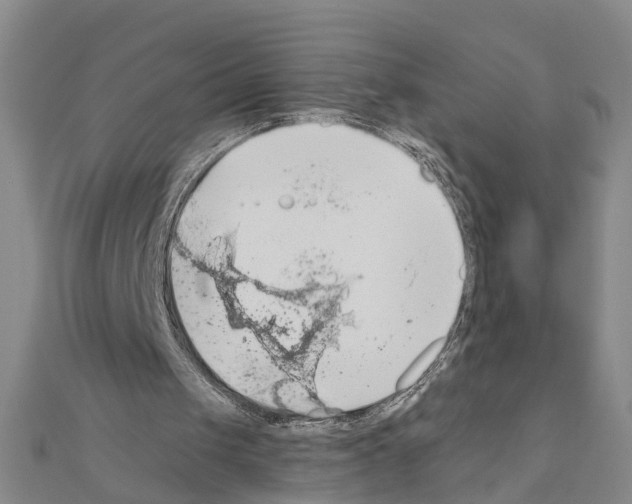 X0000111030049200908061444