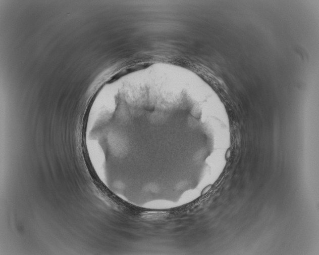 X0000111030051200908061444