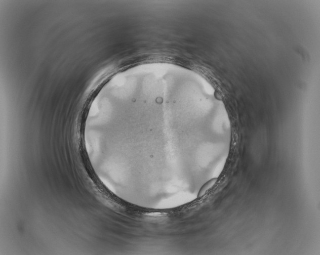 X0000111030053200908061444
