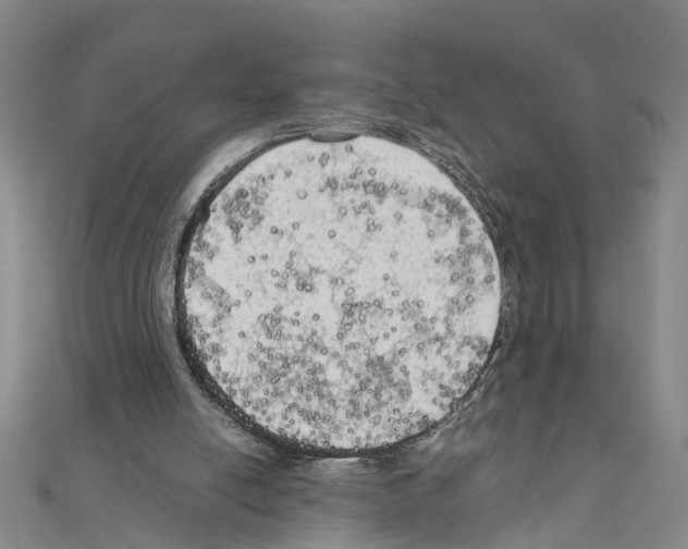 X0000111030054200908061444