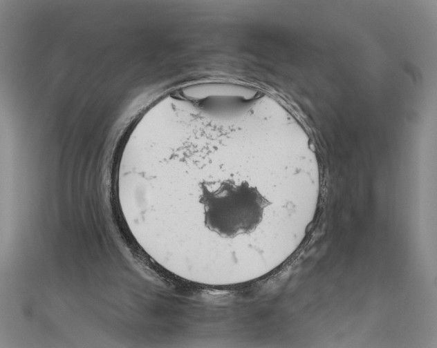 X0000111030055200908061444