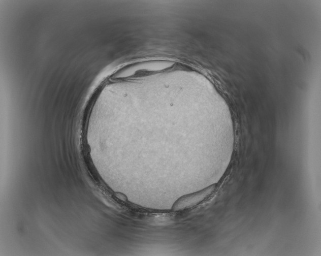 X0000111030056200908061444