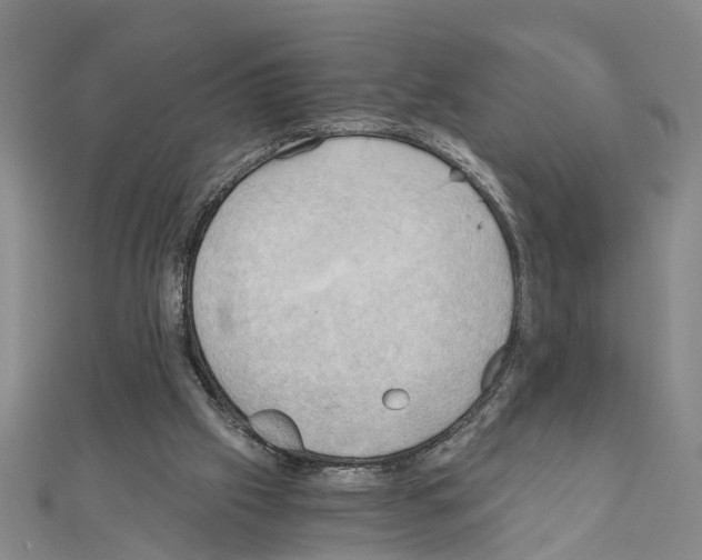 X0000111030057200908061444