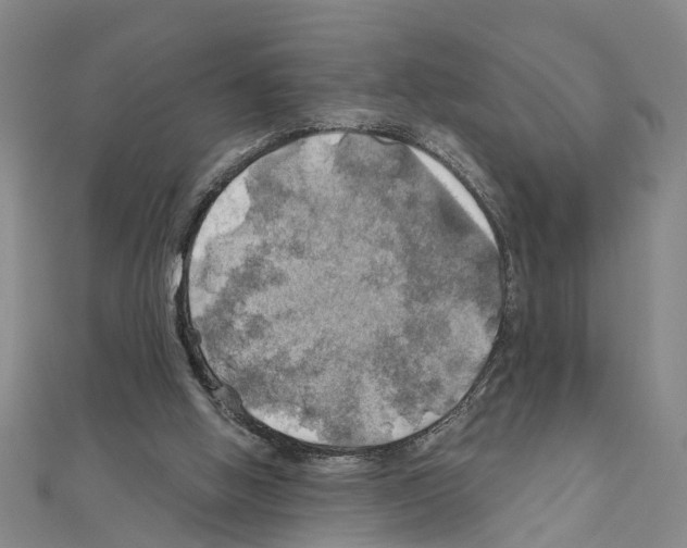 X0000111030058200908061444