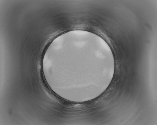 X0000111030059200908061444
