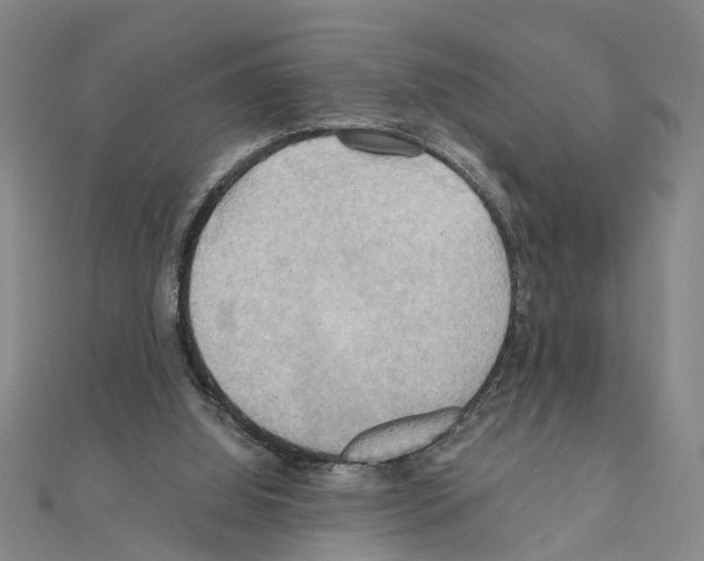 X0000111030060200908061444