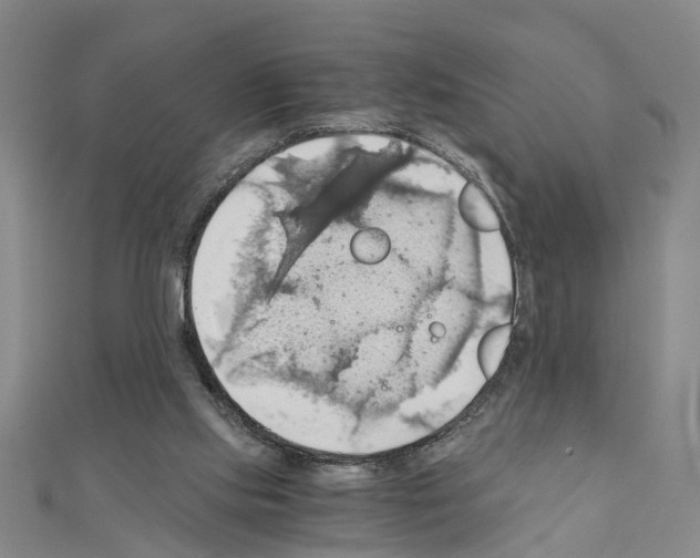 X0000111030061200908061444