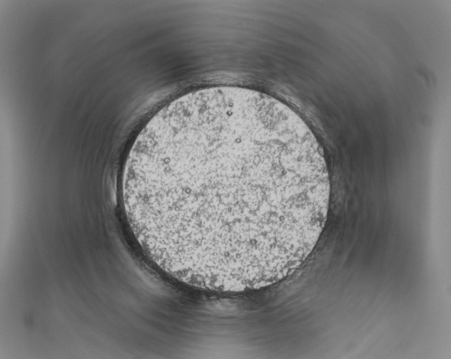 X0000111030062200908061444