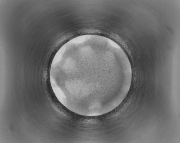 X0000111030063200908061444