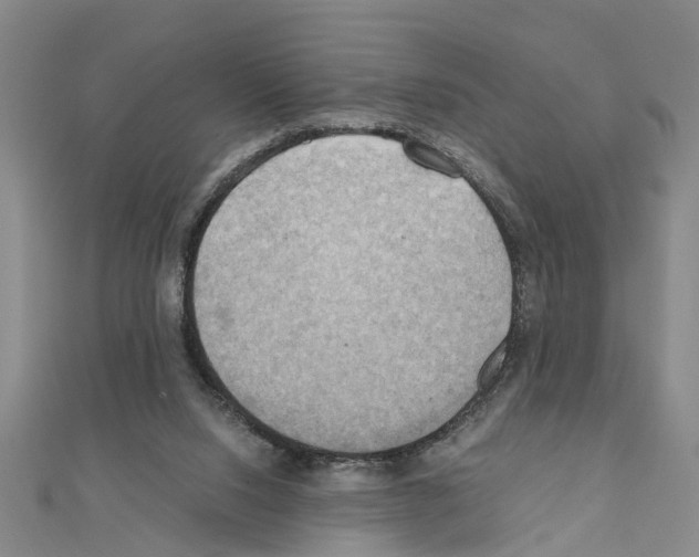 X0000111030064200908061444