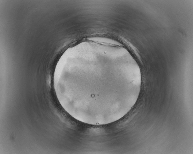 X0000111030067200908061444