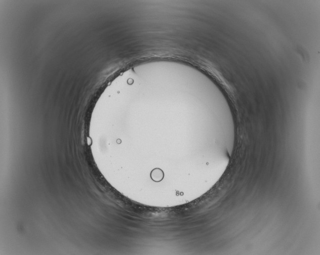 X0000111030068200908061444