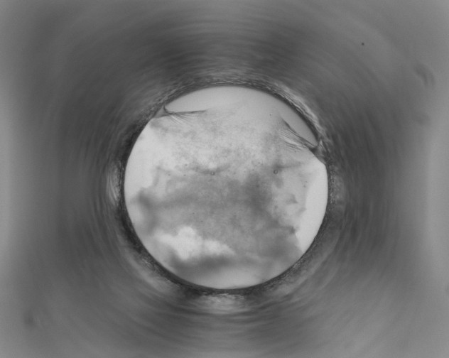 X0000111030069200908061444
