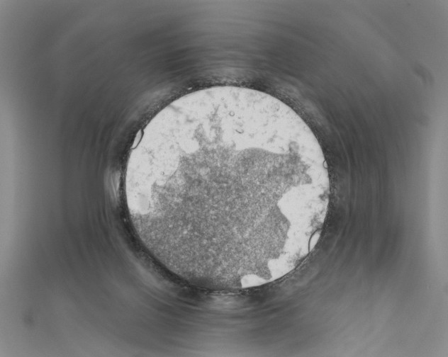 X0000111030070200908061444